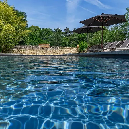 Villa Domaine Du Bost *
